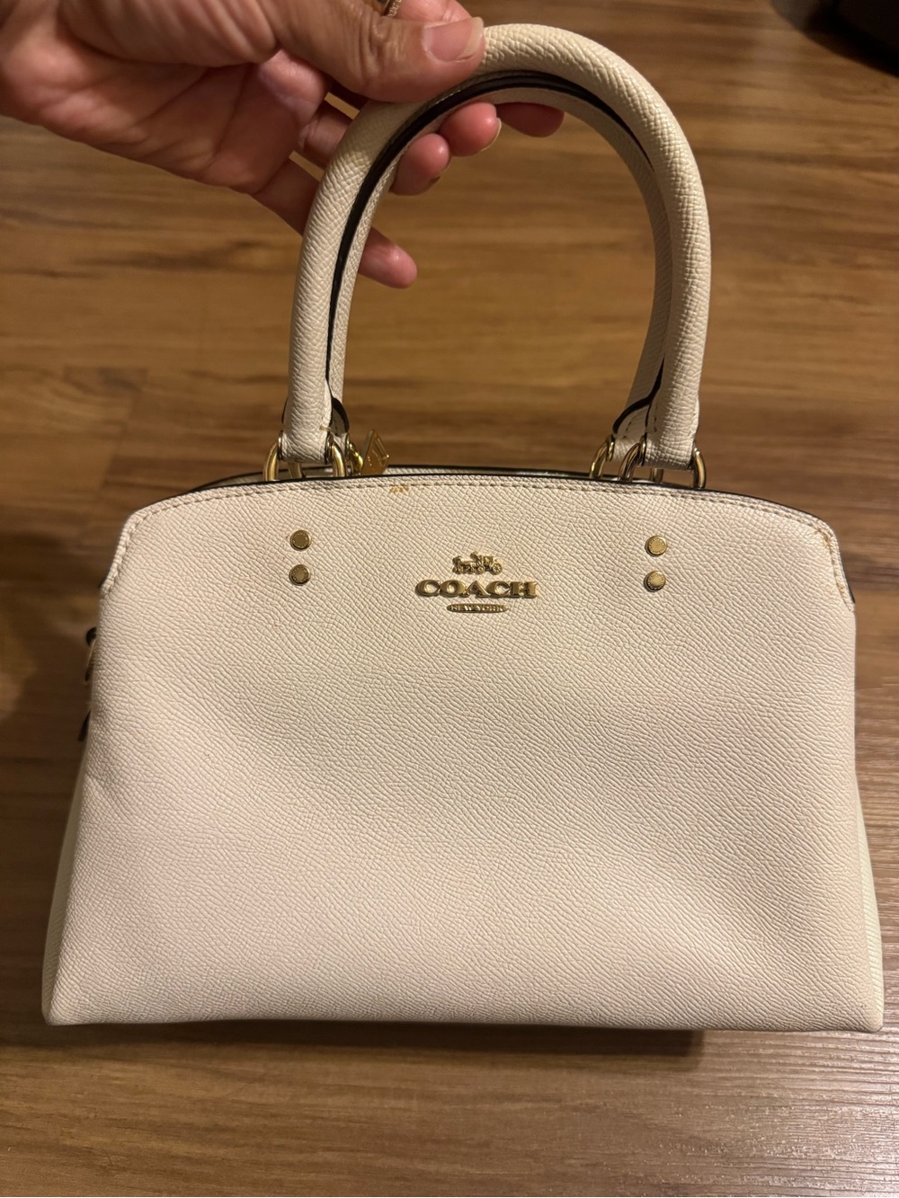 Coach Women’s Mini Lillie Carryall